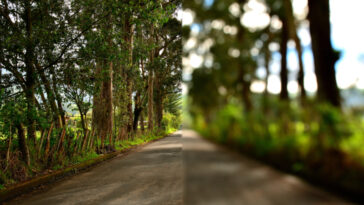 الاستجماتيزم اعراضه والتشخيص وطرق علاجه