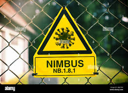 متحور كورونا نيمبوس NB.1.8.1