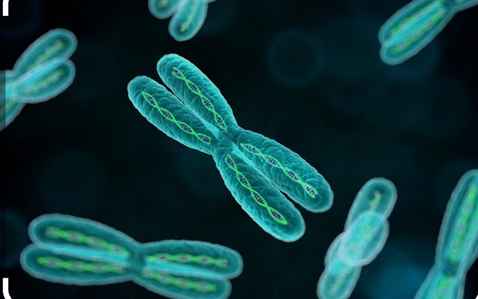 متلازمة كلاينفلتر