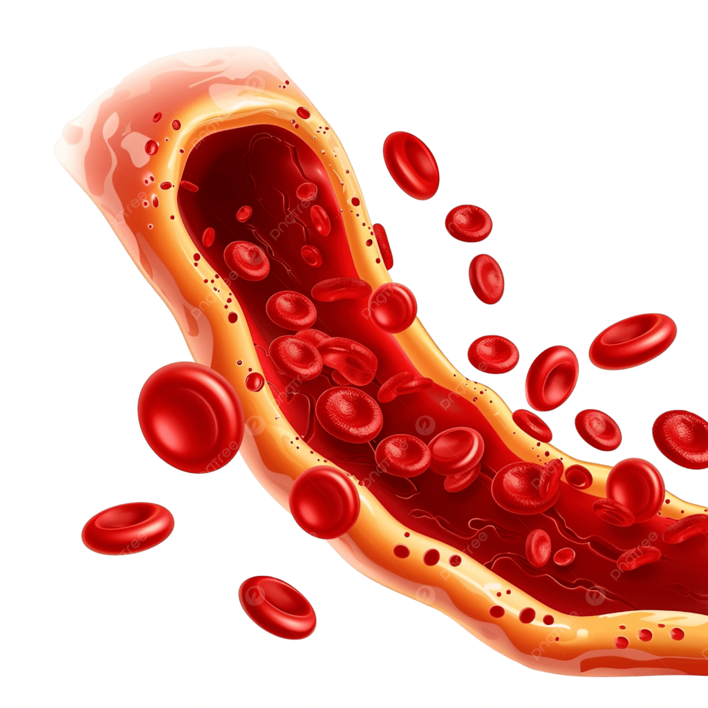 الكوليسترول