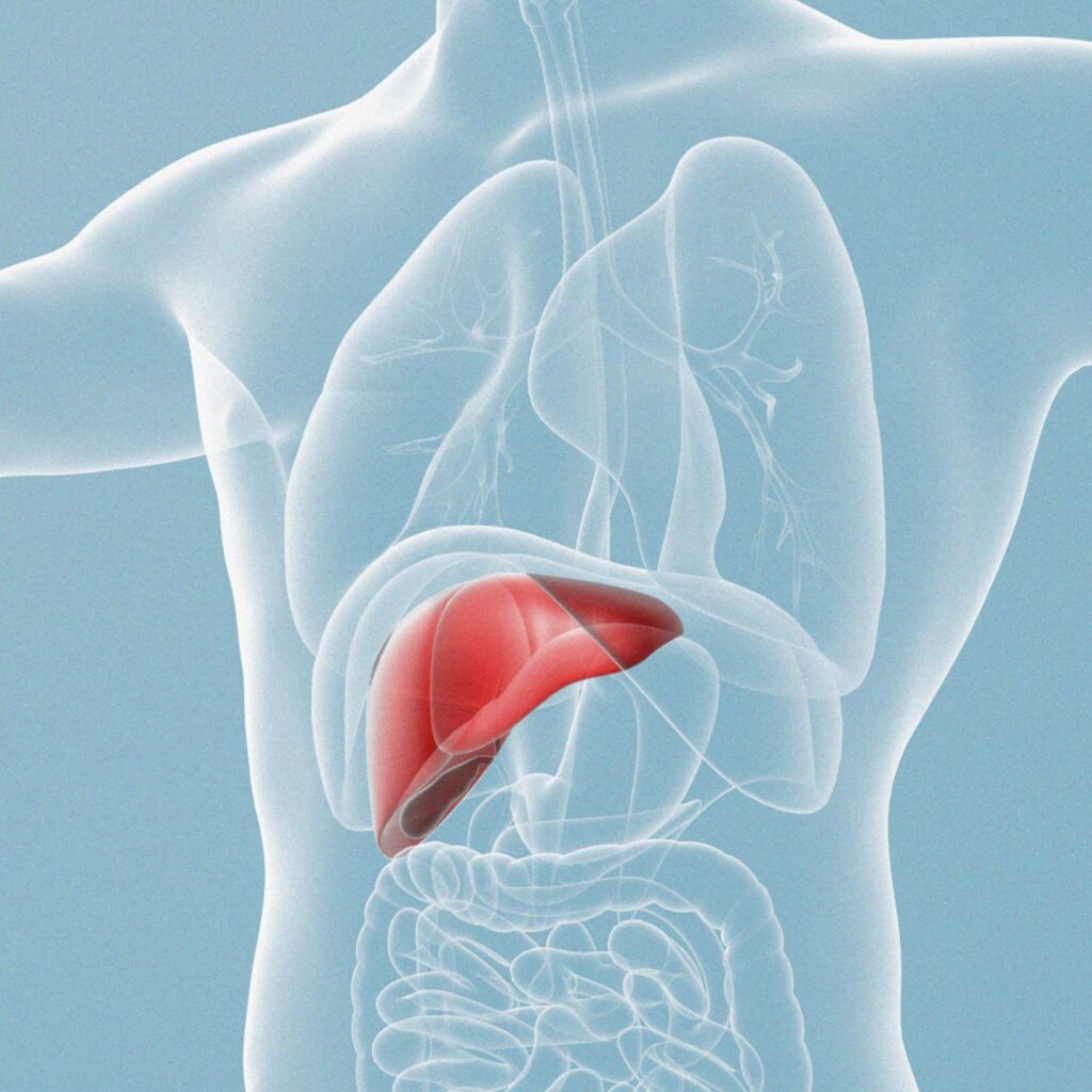 التهاب الكبد الوبائي