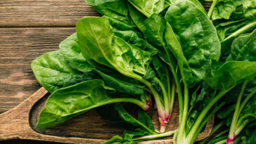 السبانخ و7 من فوائده وأضراره