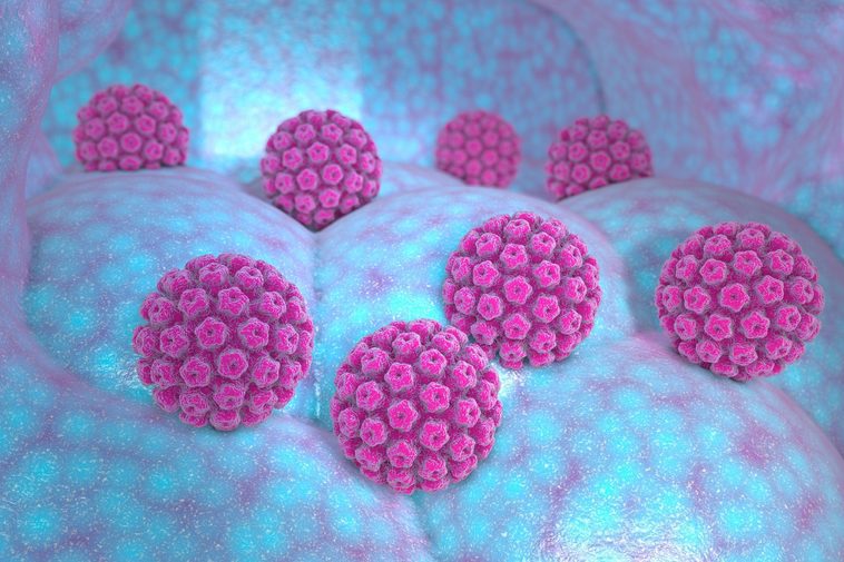 فيروس HPV